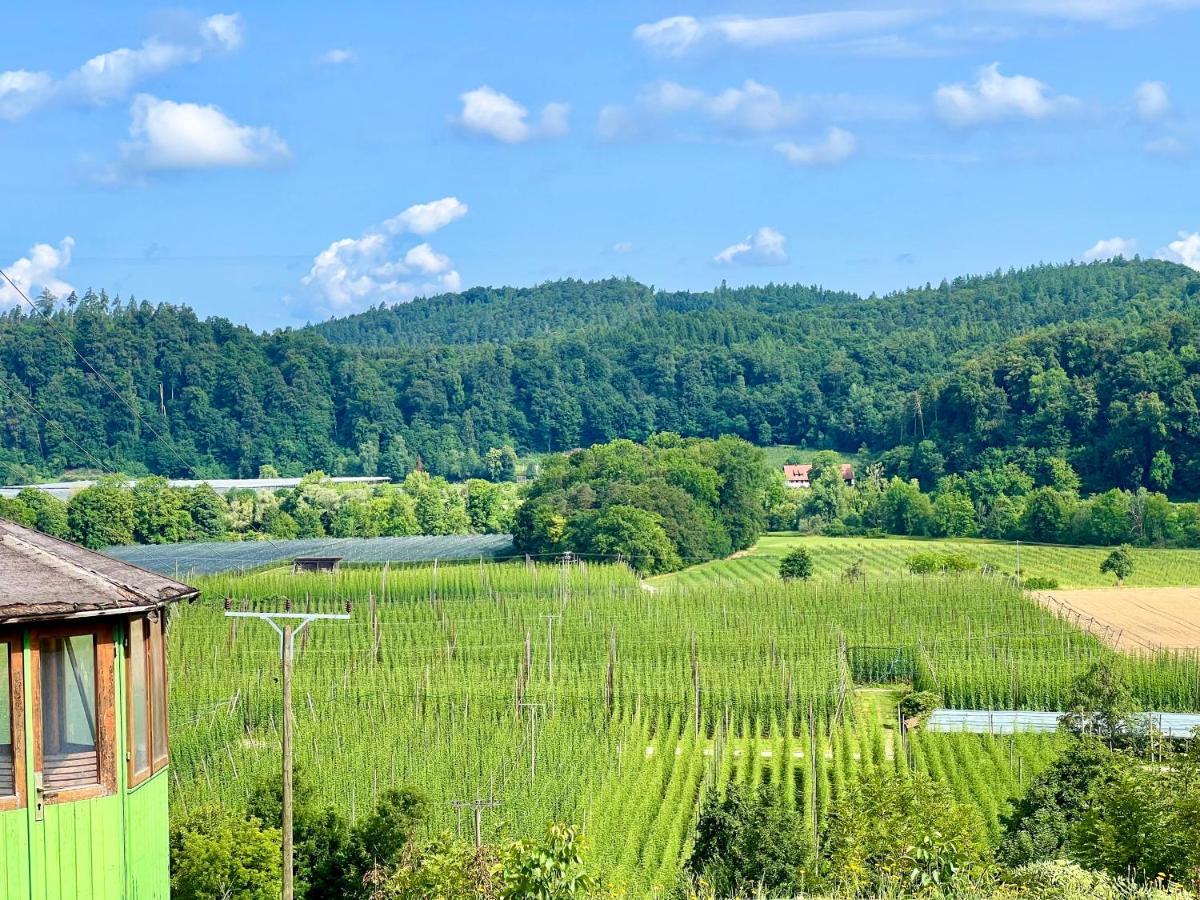 Einzigartiger Panoramablick, Bodensee Und Messe In Der Naehe Tettnang Eksteriør bilde